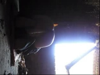Desi Detached Anal Dildo Cudgel Detached Caught